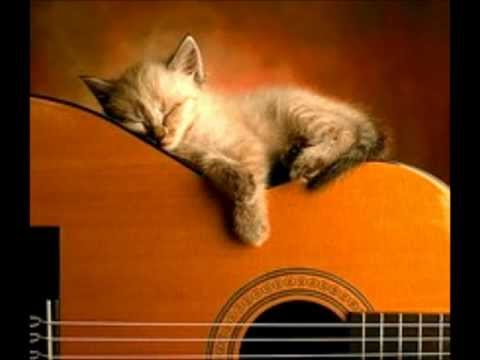 Indigo Swing   Don't worry so much