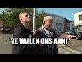 Agressieve meeuwen terroriseren IJmuiden: 'Ze vallen je aan!'