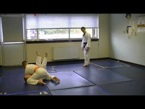 Kal and Ryan Kempo Jujitsu 2013 Vid 1