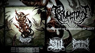 TRAUMATOMY - EMBODIMENT OF EXCRUCIATION [OFFICIAL EP STREAM] (2017) SW EXCLUSIVE