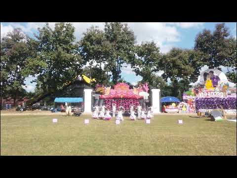 WJD SPORT DAY PINK  2024