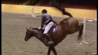 Horses - All About Us (Preview)