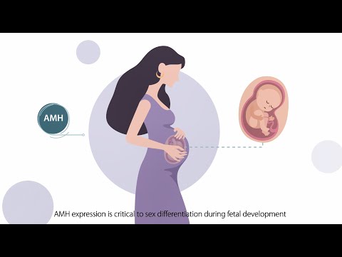 What your AMH levels can tell you？