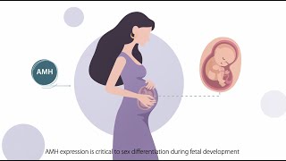 What your AMH levels can tell you？