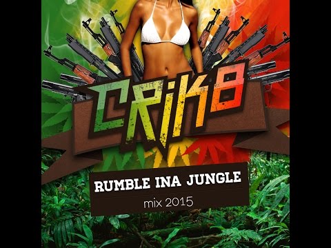 Drum and Bass ragga jungle mix 2015 - Crik8