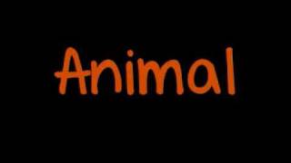 The Cab- Animal lyrics