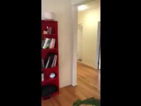 Boston Apartments - 2 Beds 1 Bath - Cambridge - Central Square/cambridgeport