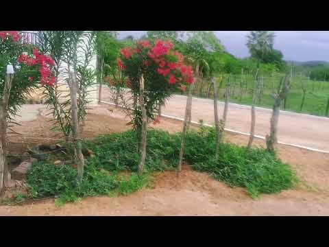 localidade Vila Nova-sussuapara Piauí: