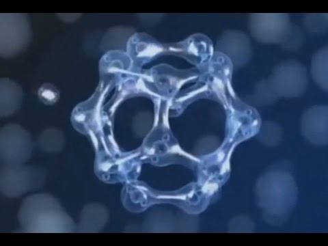 Water - Memory Cells - Biophotons