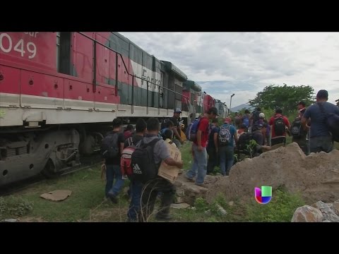 'The Beast' will be their vehicle to reach the United States. Will they succeed?