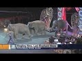 Ringling Brothers Circus Elephants Perform Last Show