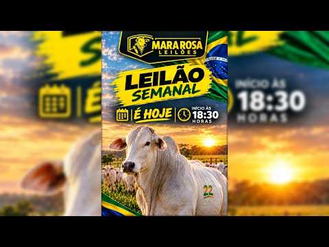 MARA ROSA LEILÕES - GOIÁS - LEILÃO DE GADO DE CORTE 13/10/2026