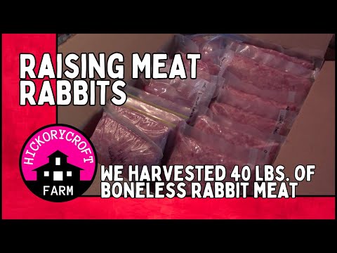 HOMESTEAD RABBITS: Last Harvest Before Winter - From Our Rabbit Herd