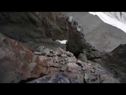 Geese chick's jumping from 400 ft cliff