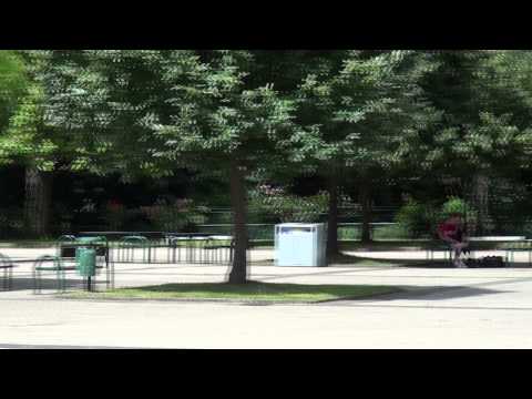 40 Jahre Verein der Freunde und Förderer des Johannes-Gymnasiums in Lahnstein