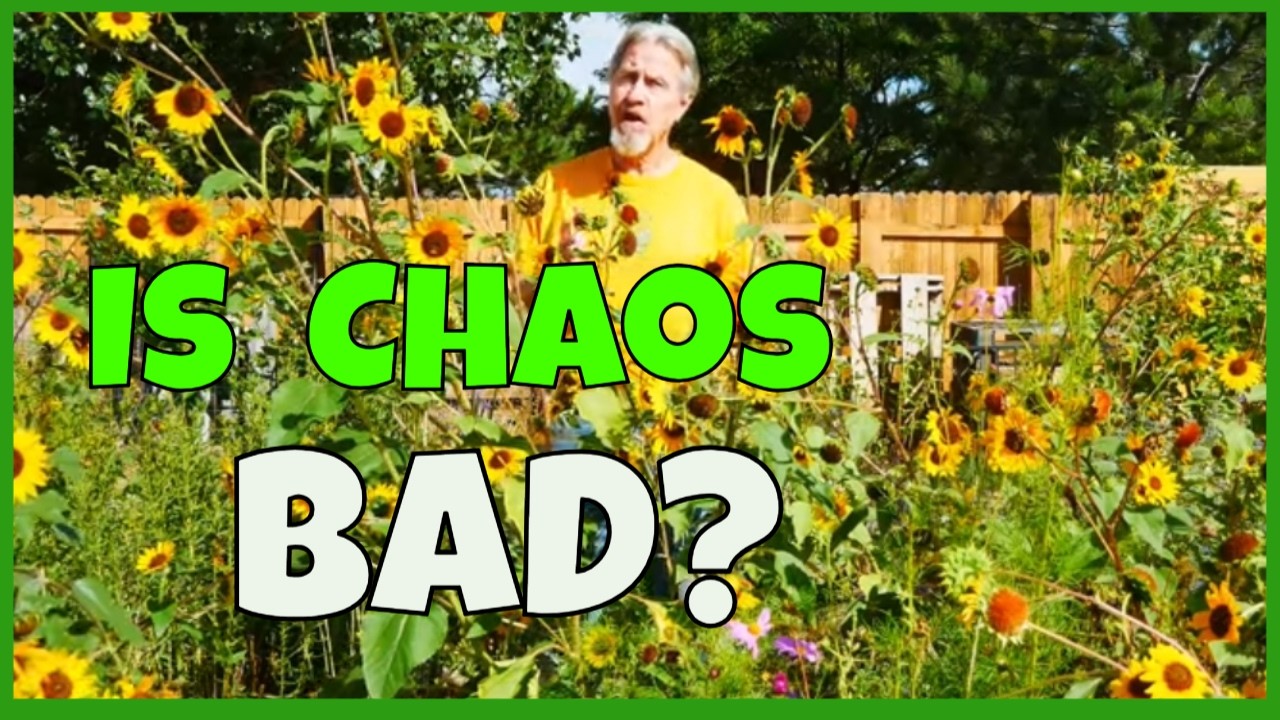 What is CHAOS Gardening? (Is It for You?)