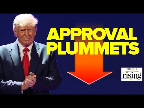 Panel: Trump Approval PLUMMETS 100 Days After Leaving Office