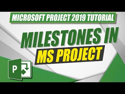 Microsoft Project 2019 Beginner to Advanced Training 8 5 Hour Course