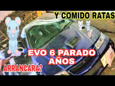 ARRANCARÁ Mitsubishi EVO 6 Parado Años y comido por Ratas?🐁🐀😬Cold Start After Years
