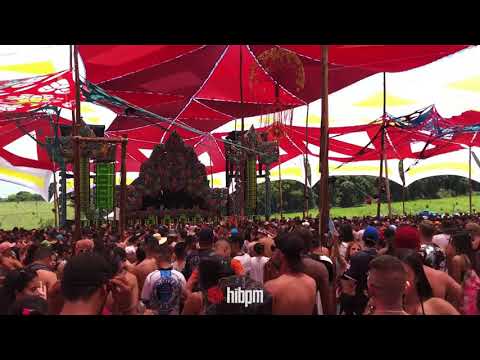 Árvore da Vida - WHITENO1SE