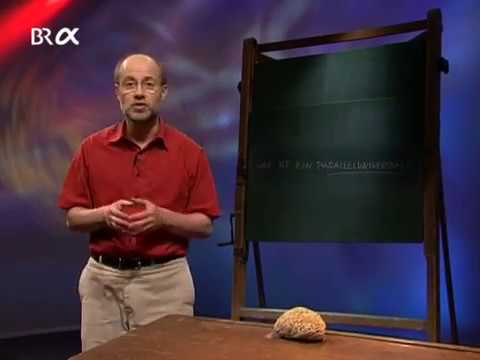 Was ist ein Paralleluniversum? (Alpha Centauri 176)