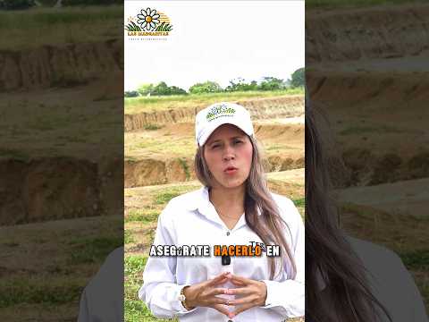 #LasMargaritasCorozal #corozalsucre #sincelejosucre #terramarrealtor #JulioAlonsoRealtor