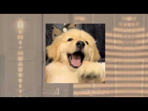 [playlist] для танцев, уборки, хорошего настроения || кто не послушал тот дед инсайд •ENG•