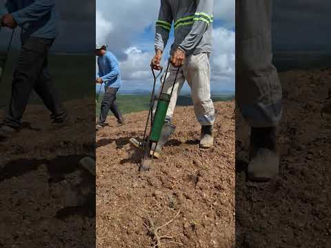 Início do plantio em Monte das Gameleiras-RN.