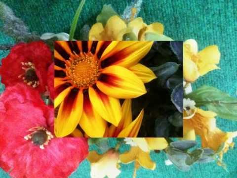 hasan zirak kyzhe maro jwany krmashan