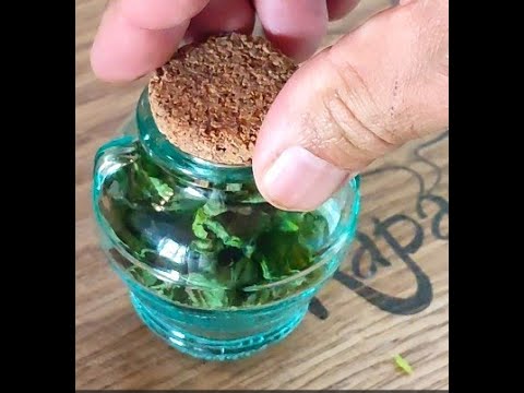 Come conservare il Basilico