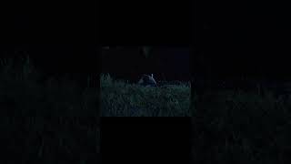 Influencer Ben, meet Artist Ben 🤝 the final chapter of the album, out this Saturday at 12EST