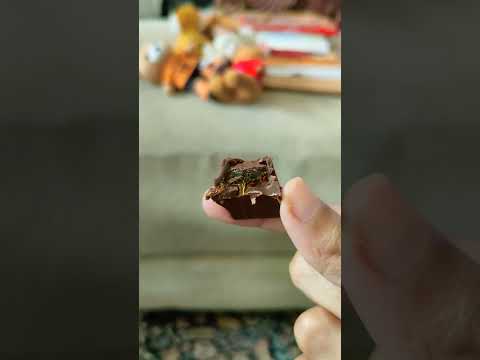 Daily Munch Episode 501 | Anindya Miskovic