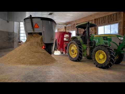 Which one is better?