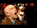 R.E.M. Animal Perfect Square Live DVD Wiesbaden, Germany 2003 Pro-shot