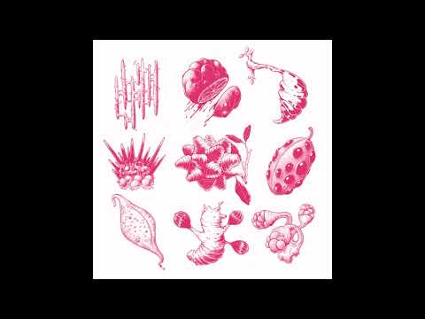 Zerolex Trio - Le Nectar