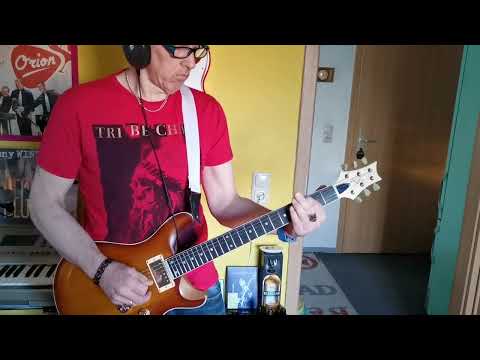 Thomann Harley Benton Electric Guitar Kit CST 24 PRS Style Bausatz