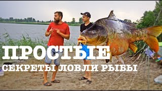Ловля карпа летом на что и как