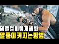 당신의 팔뚝과 알통이 더욱 더 커지는 특별한 운동방법!