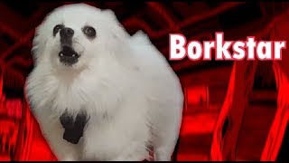 Borkstar