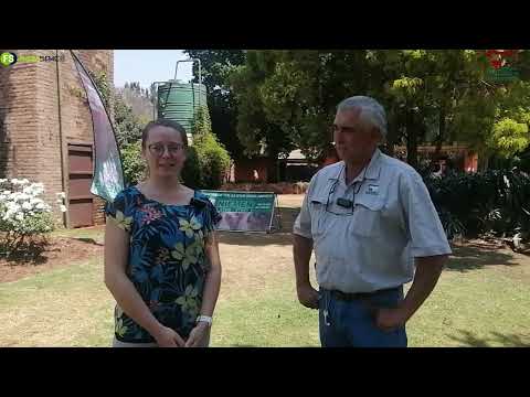 Niemen Beef Shorthorn Veiling skop more, 15 Oktober 2022, 11:00 af.