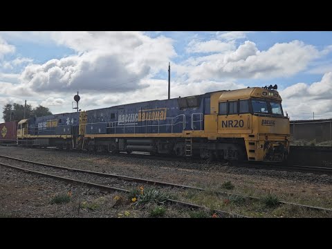 4PM6 PN "Linfox Express" (NR20, NR4), Perth to Melbourne, 1425, 21/9/24, Stawell VIC