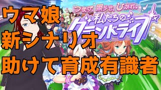 【ウマ娘】グランドライブわからん【プリティーダービー】