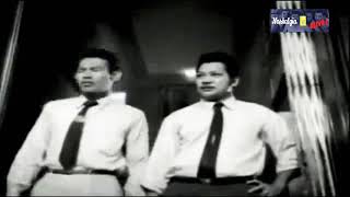 Download lagu Trio bujang lapo masak ayam #shorts mp3 Download lagu Trio bujang lapo masak ayam #shorts mp3