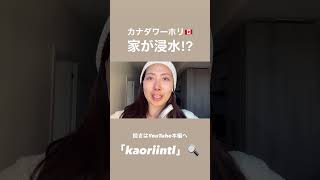 #ワーホリ #カナダワーホリ #カナダ生活 #canadavlog #torontovlog
