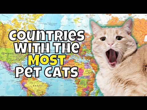 Top 10 Countries With the Most Pet Cats