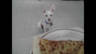 Jay Som - forget about it kid