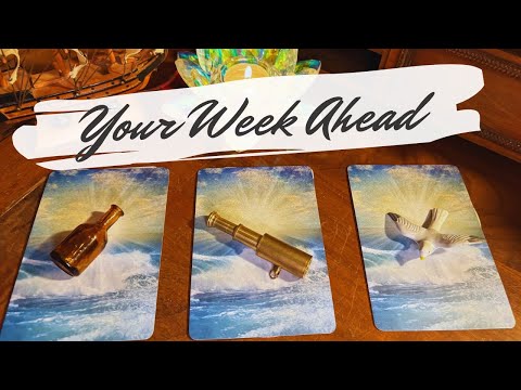 Your Detailed Week Ahead 🐚 What Will Happen? + Update! 