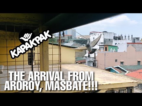 THE ARRIVAL FROM AROROY, MASBATE!!! (ARPCi SDR 2022) | EZEKIEL LUNAR LOFT