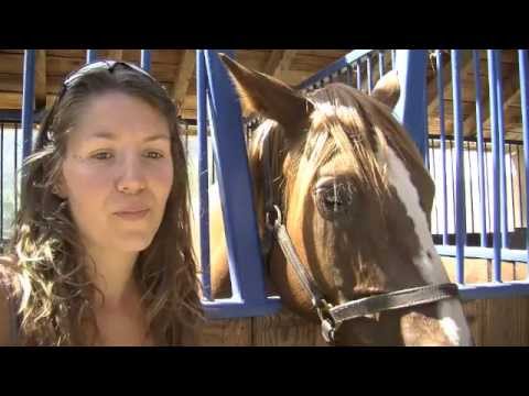 comment retrouver un cheval perdu de vue