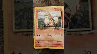 5 collector tips #scanemontips #pokemon #pokemoncards #scanemon #razwp
